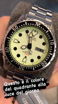 Citizen Promaster Diver's Automatic 200 mt NY0040-50W NATULIGHT