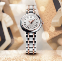 TISSOT BELLISSIMA SMALL LADY T126.010.22.013.01 bicolore