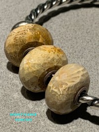 Trollbeads Set Diaspro Legno Fossile Sfaccettato