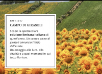 Trollbeads Campo di Girasoli TGLBE-20458